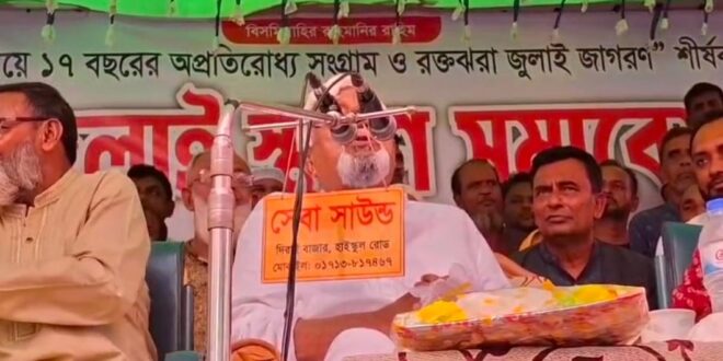 আওয়ামী লীগ আমাদের শত্রু নয়, তারা মিত্র: বিএনপির এমপি নাছির চৌধুরী