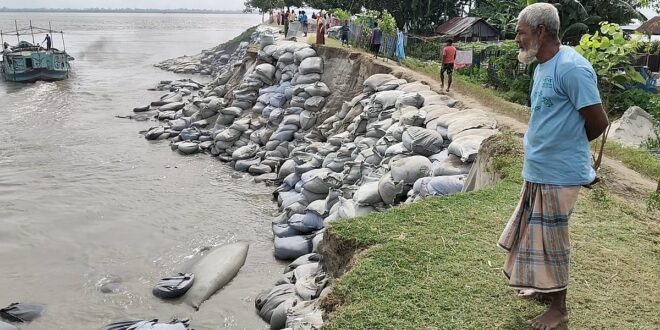 যমুনার ভাঙনে বাঁধের ১২০ মিটার ধসে গেছে, হুমকিতে শহরাবাড়ী